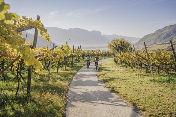 2020-thomas-monsorno-herbst-weinstra-e-highres-2-6