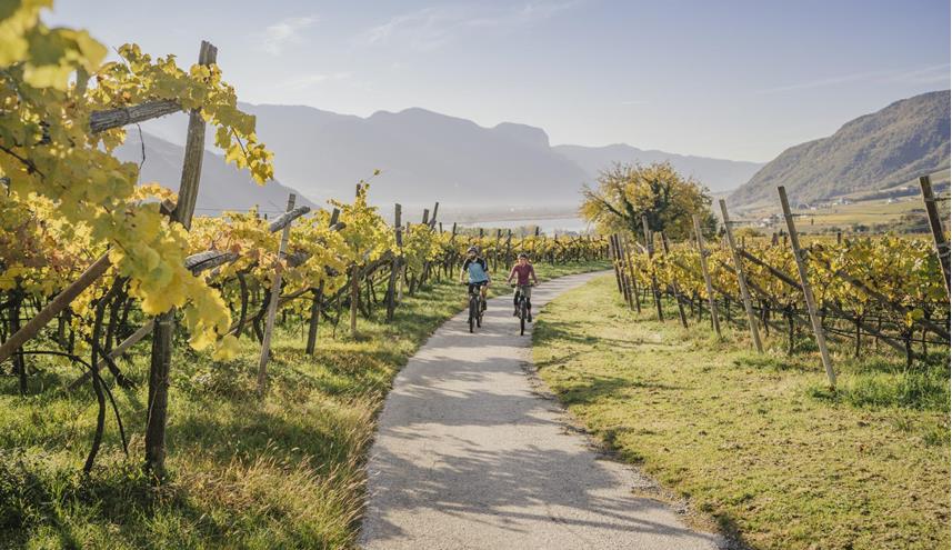 2020-thomas-monsorno-herbst-weinstra-e-highres-2-6